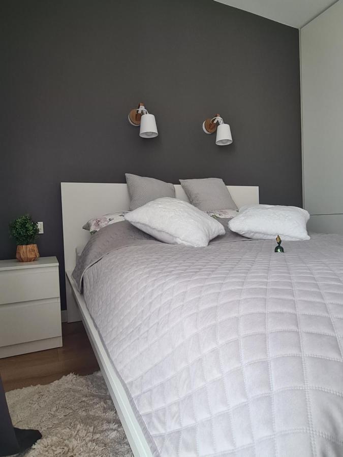 Posnania Comfort Apartment, Free Parking, Self Check-in 24h Apartment Poznan