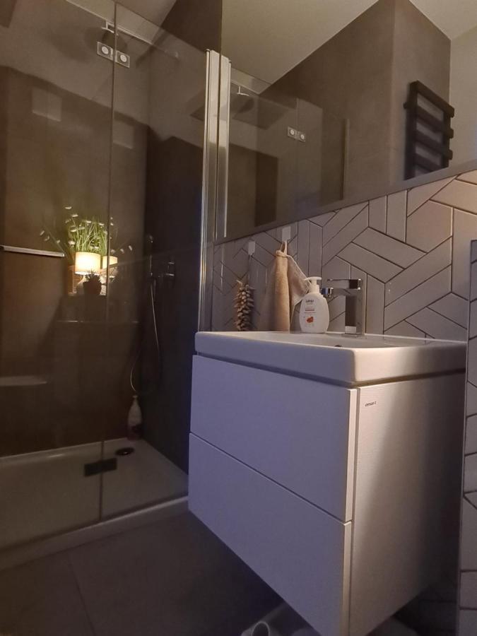 Apartment Posnania Comfort Apartment, Free Parking, Self Check-in 24h